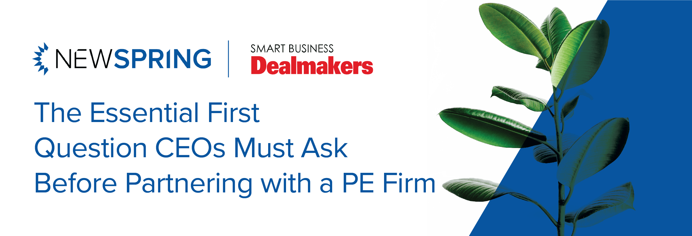 The Essential First Question CEOs Must Ask Before Partnering with a PE Firm