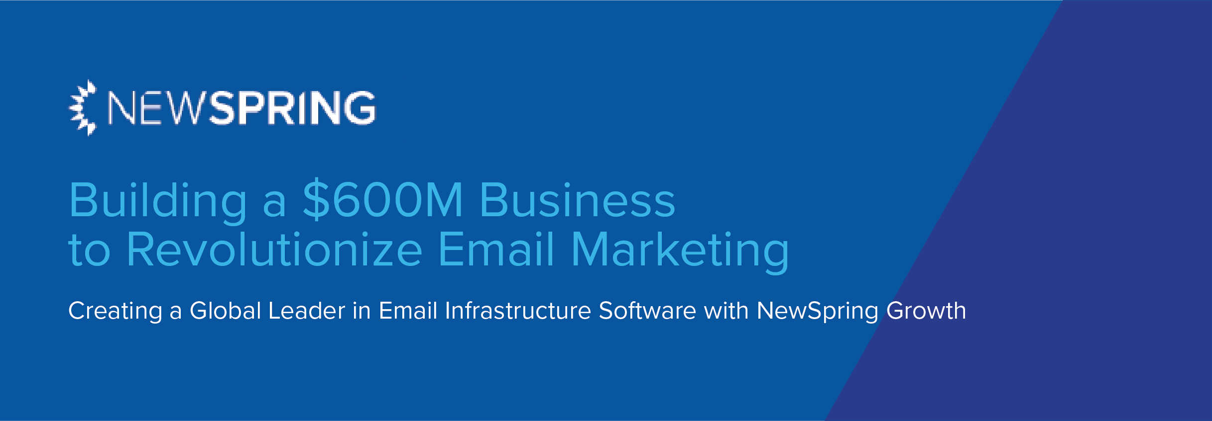 Building a $600M Business to Revolutionize Email Marketing