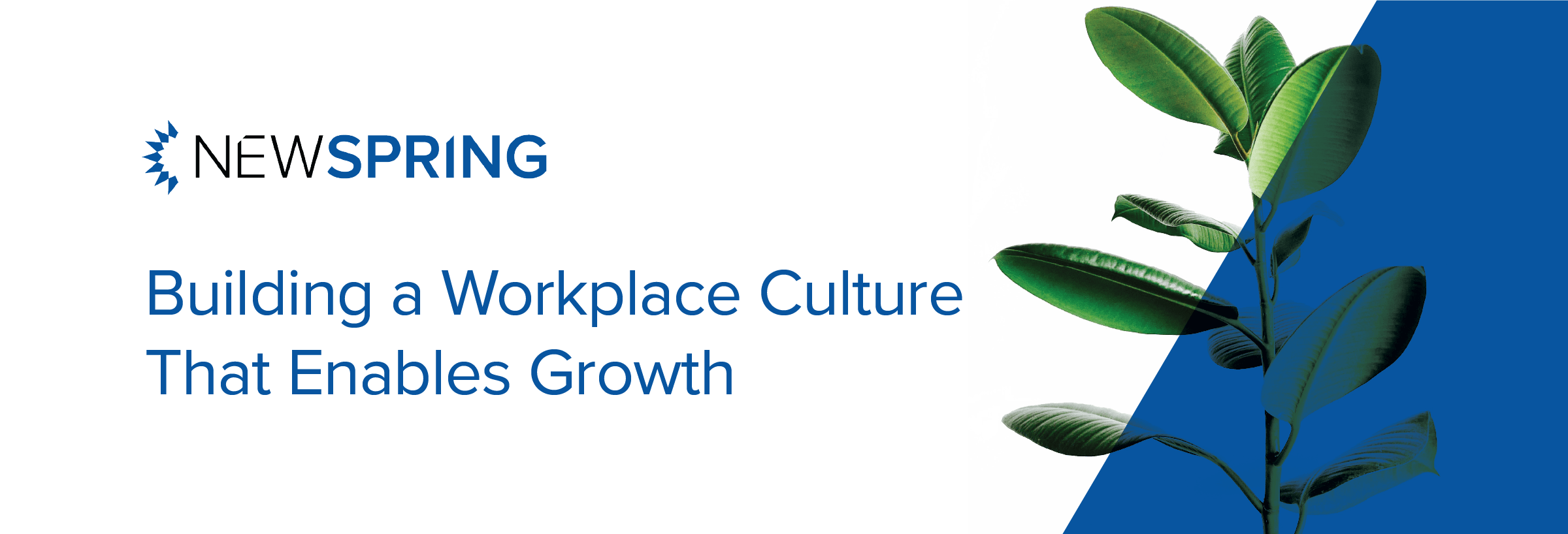 Building a Better Workplace Culture That Enables Growth